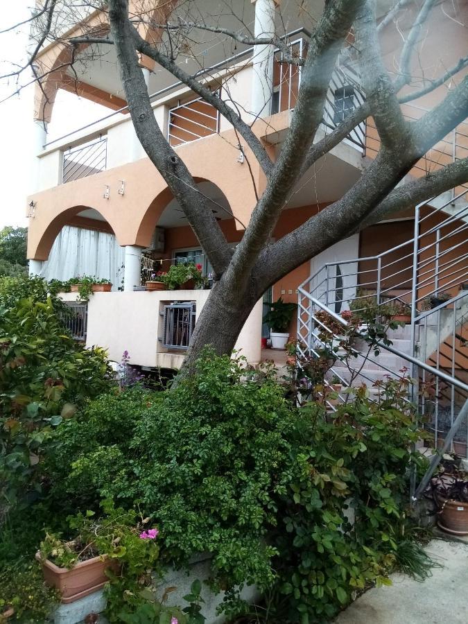 Apartments Vanja Skara Biograd 比奥格勒·纳·莫鲁 外观 照片