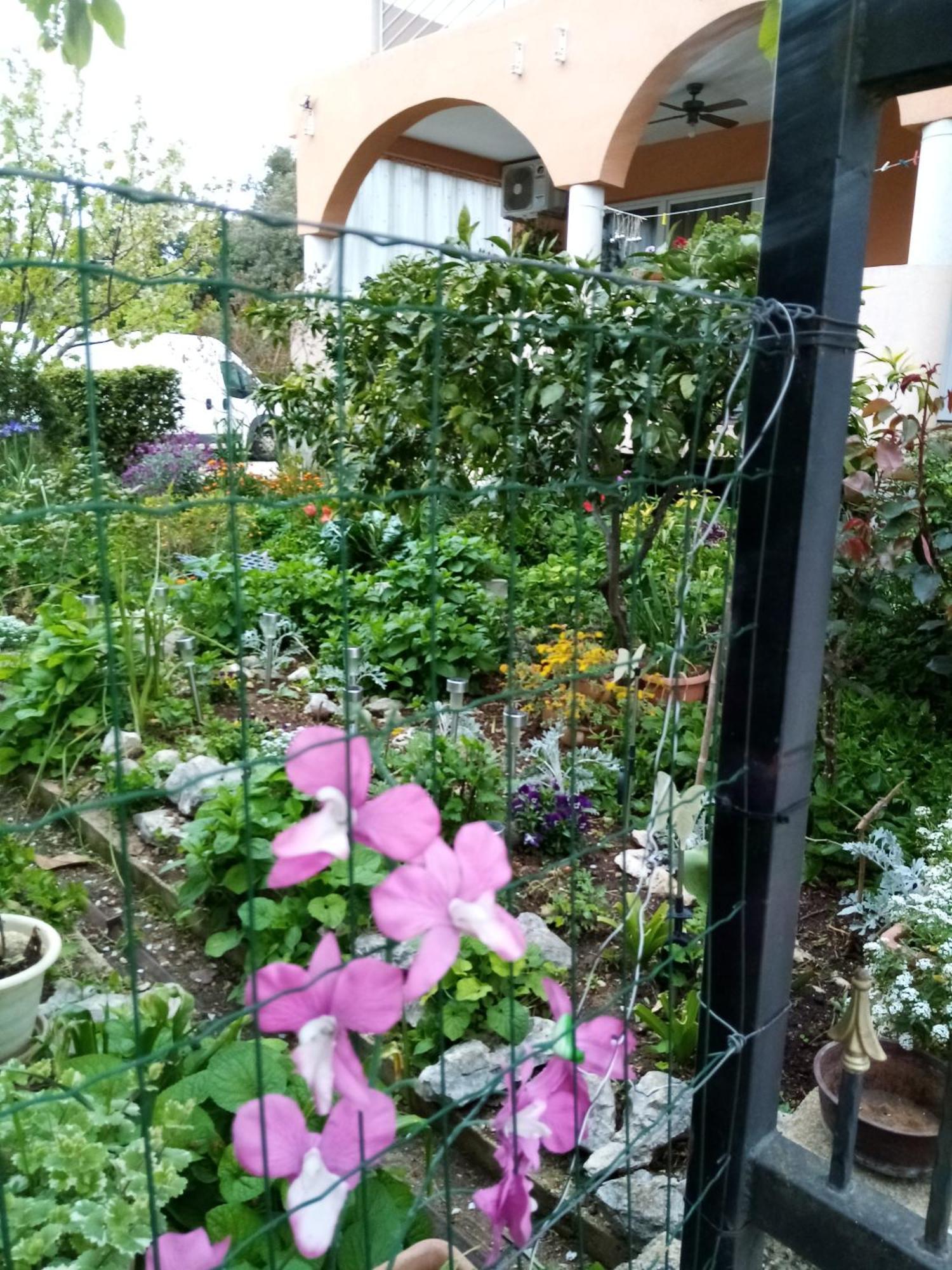 Apartments Vanja Skara Biograd 比奥格勒·纳·莫鲁 客房 照片